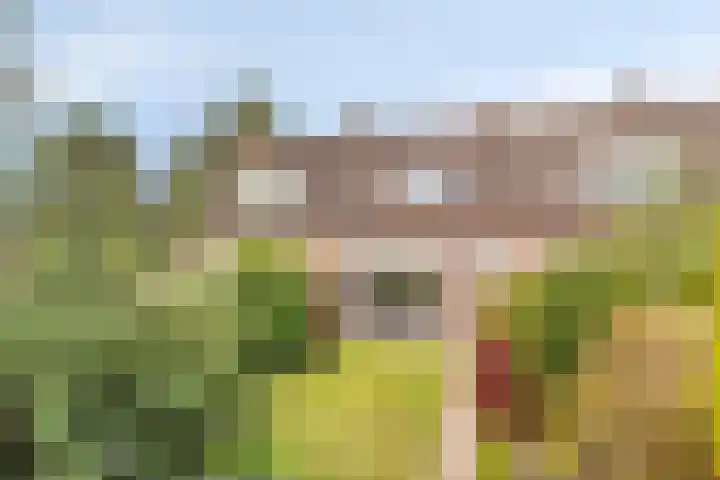 Trompetlaan 77 Etten-Leur thumbnail 29
