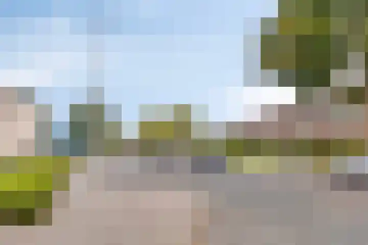 Trompetlaan 77 Etten-Leur thumbnail 32