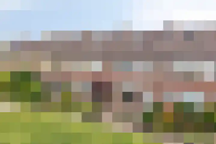 Trompetlaan 77 Etten-Leur thumbnail 34