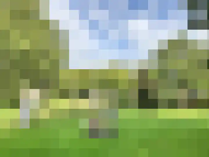 Trompetlaan 77 Etten-Leur thumbnail 35