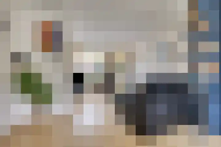 Trompetlaan 77 Etten-Leur thumbnail 8