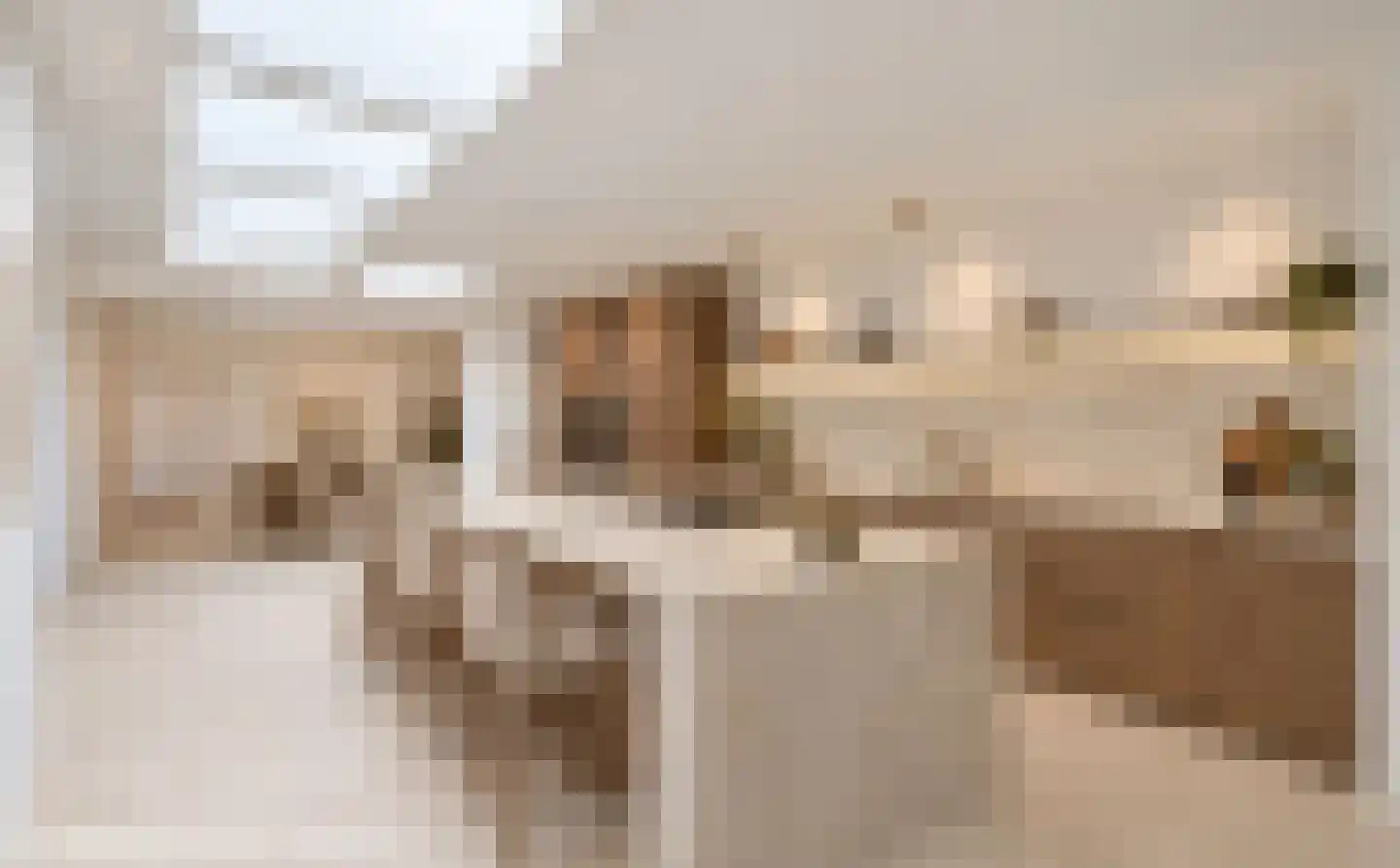 Trompetstraat 11 Delft thumbnail 21