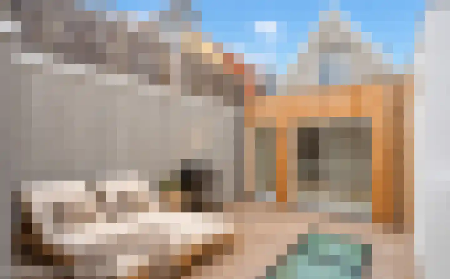 Trompetstraat 11 Delft thumbnail 34