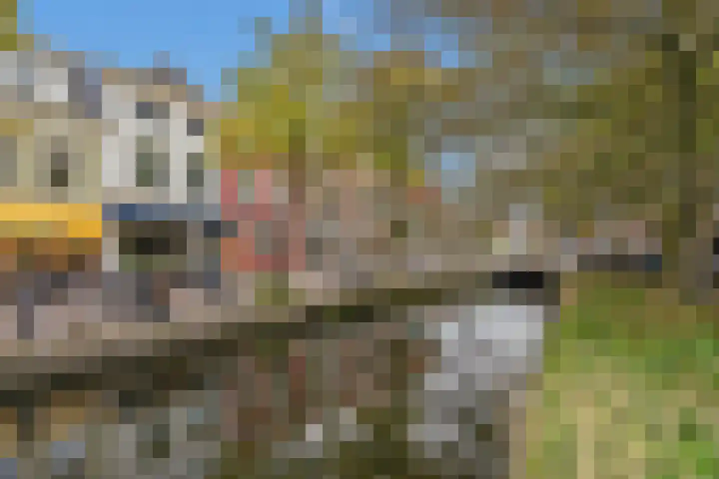 Trompetstraat 11 Delft thumbnail 59