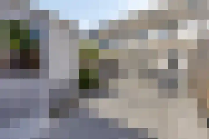 Trompetstraat 17 Zwijndrecht thumbnail 22