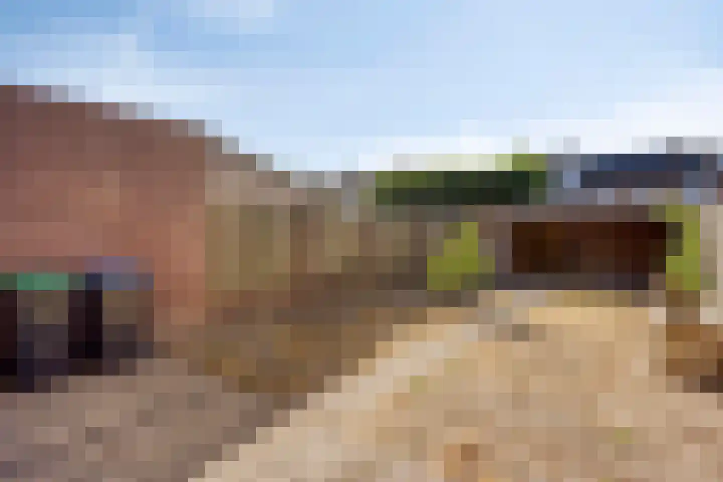 Trompetstraat 23 Uden thumbnail 18