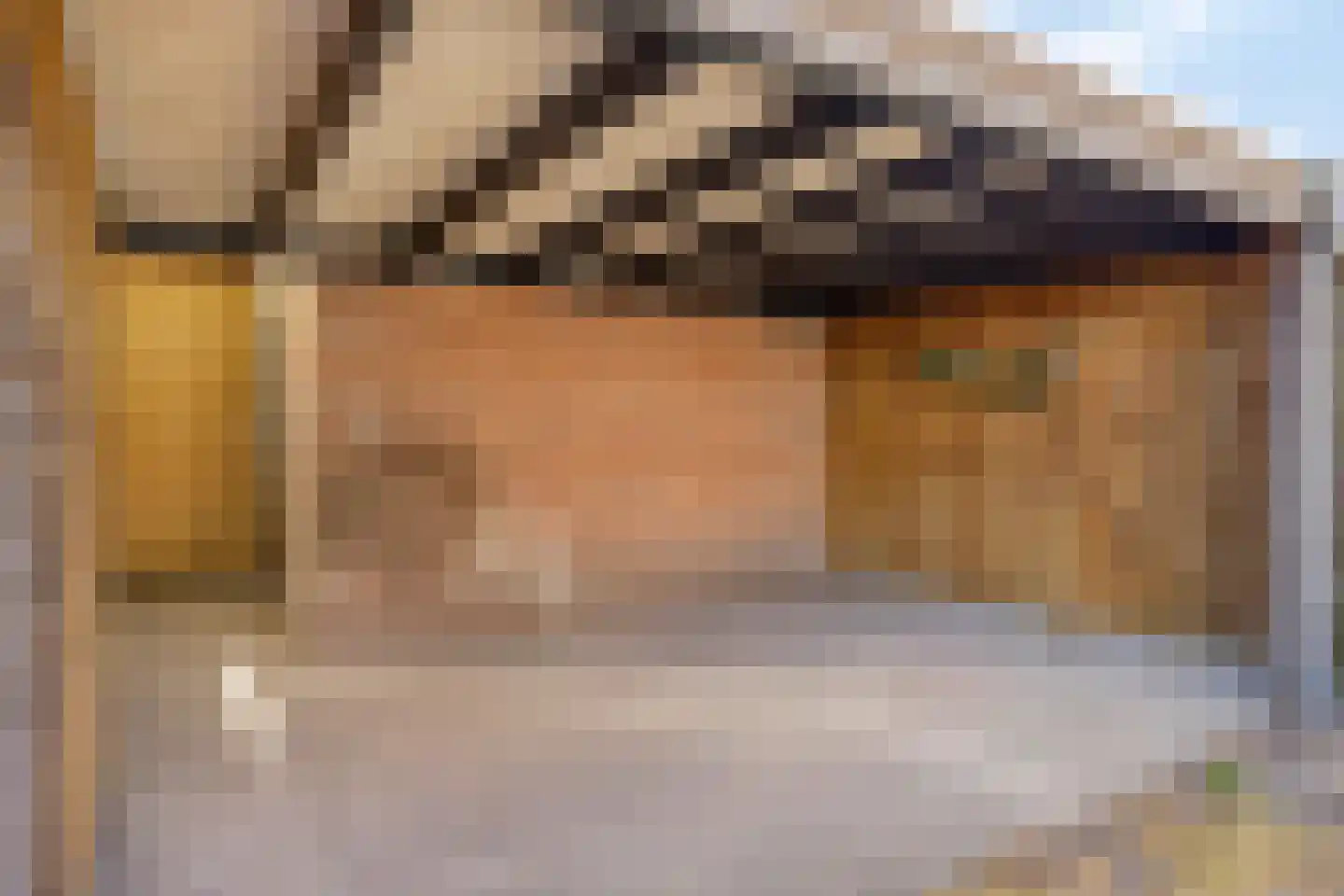 Trompetstraat 23 Uden thumbnail 20