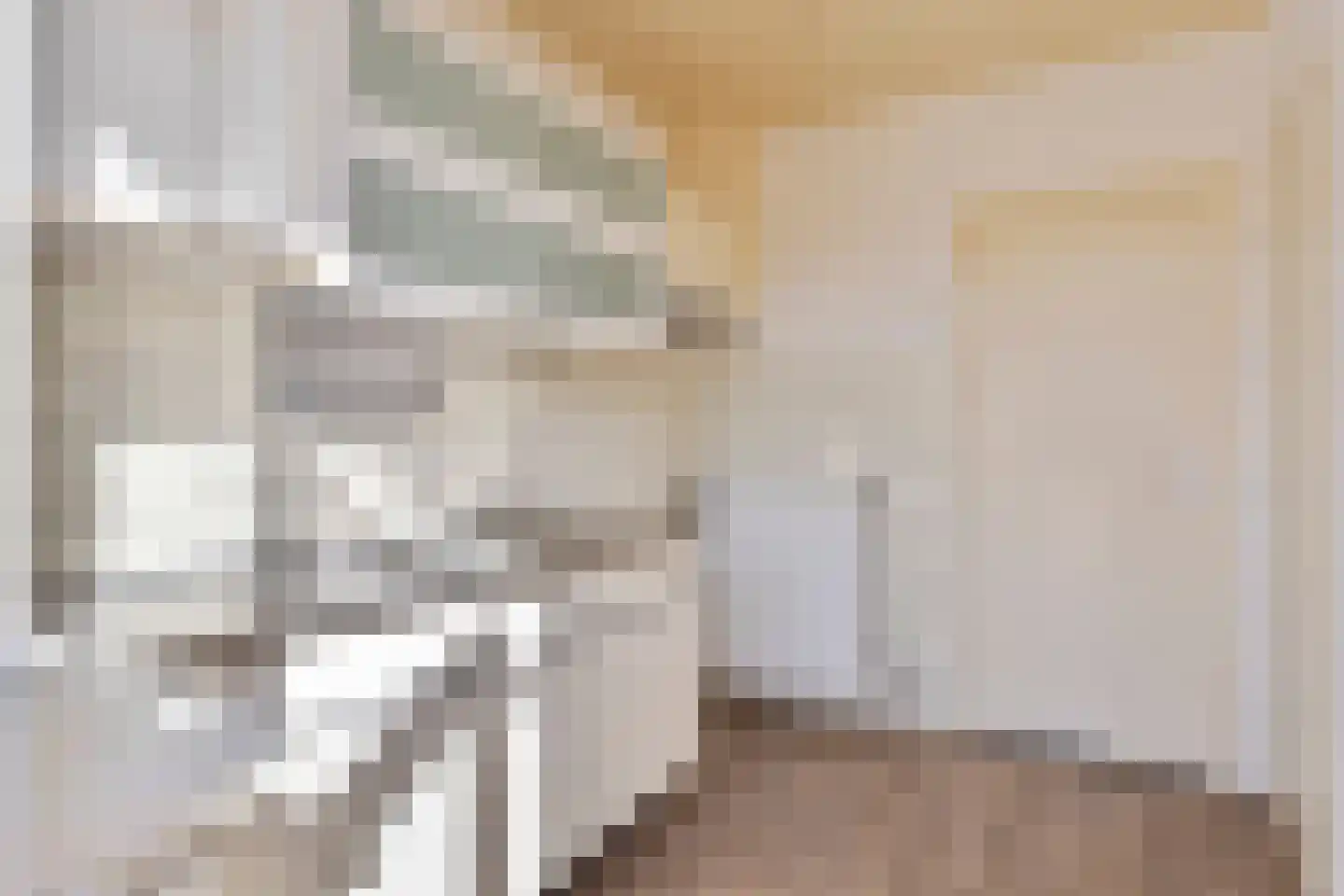Trompetstraat 23 Uden thumbnail 7