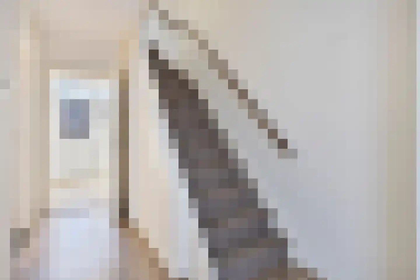 Trompetstraat 23 Uden thumbnail 8