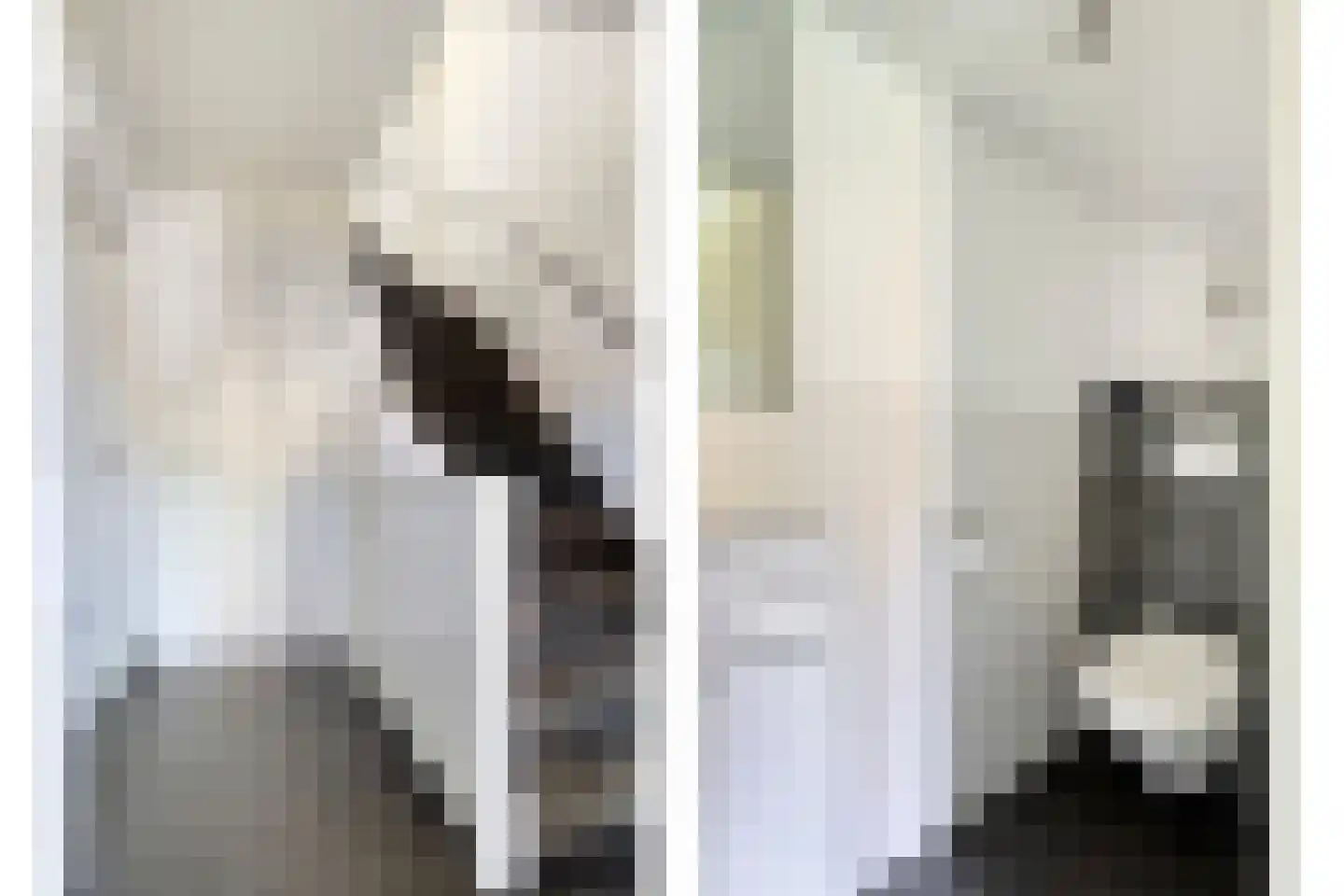 Trompetstraat 3 Uden thumbnail 12