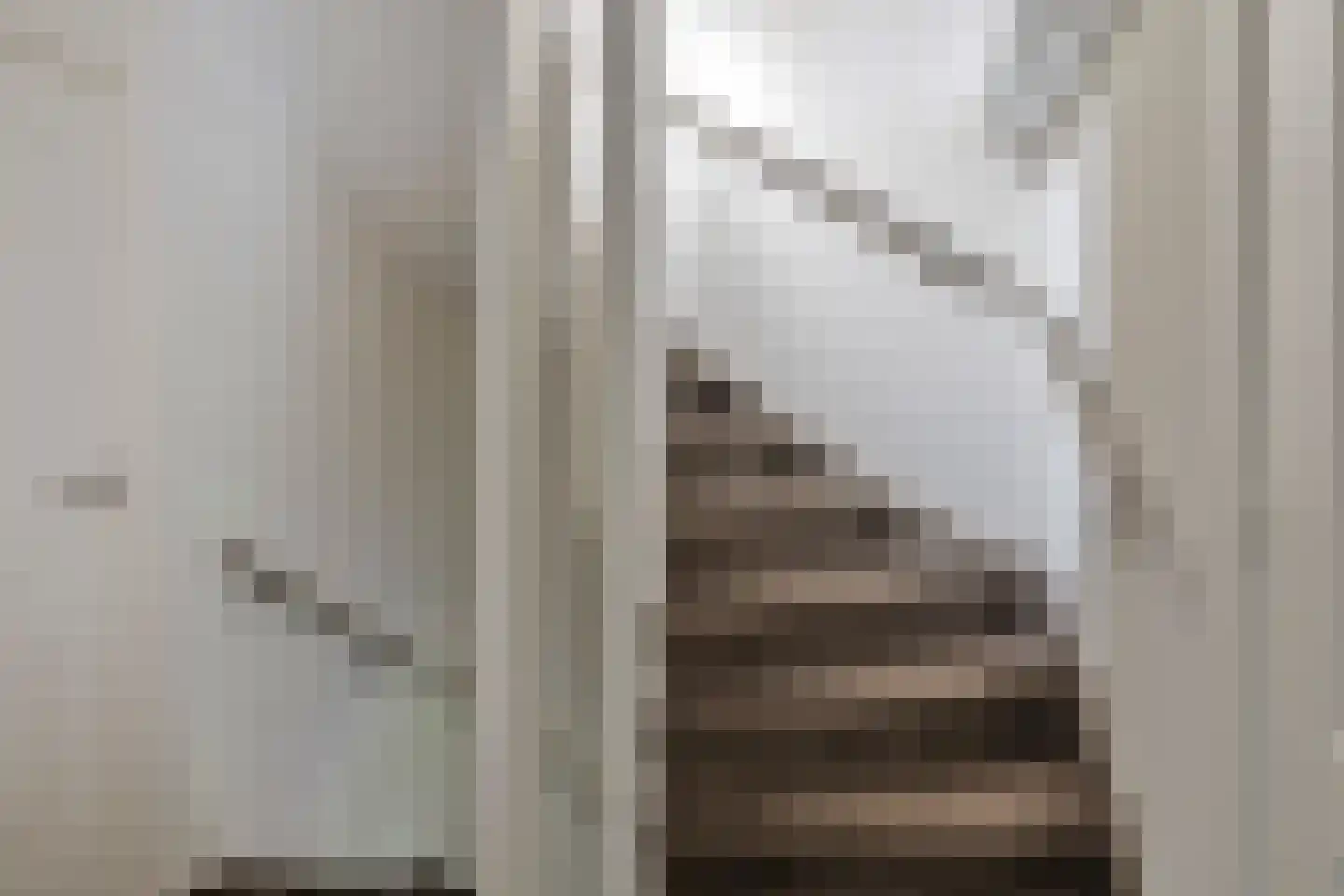 Trompetstraat 3 Uden thumbnail 21