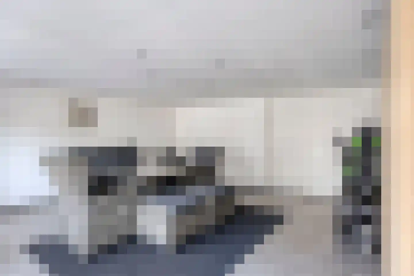 Trompetstraat 3 Uden thumbnail 29