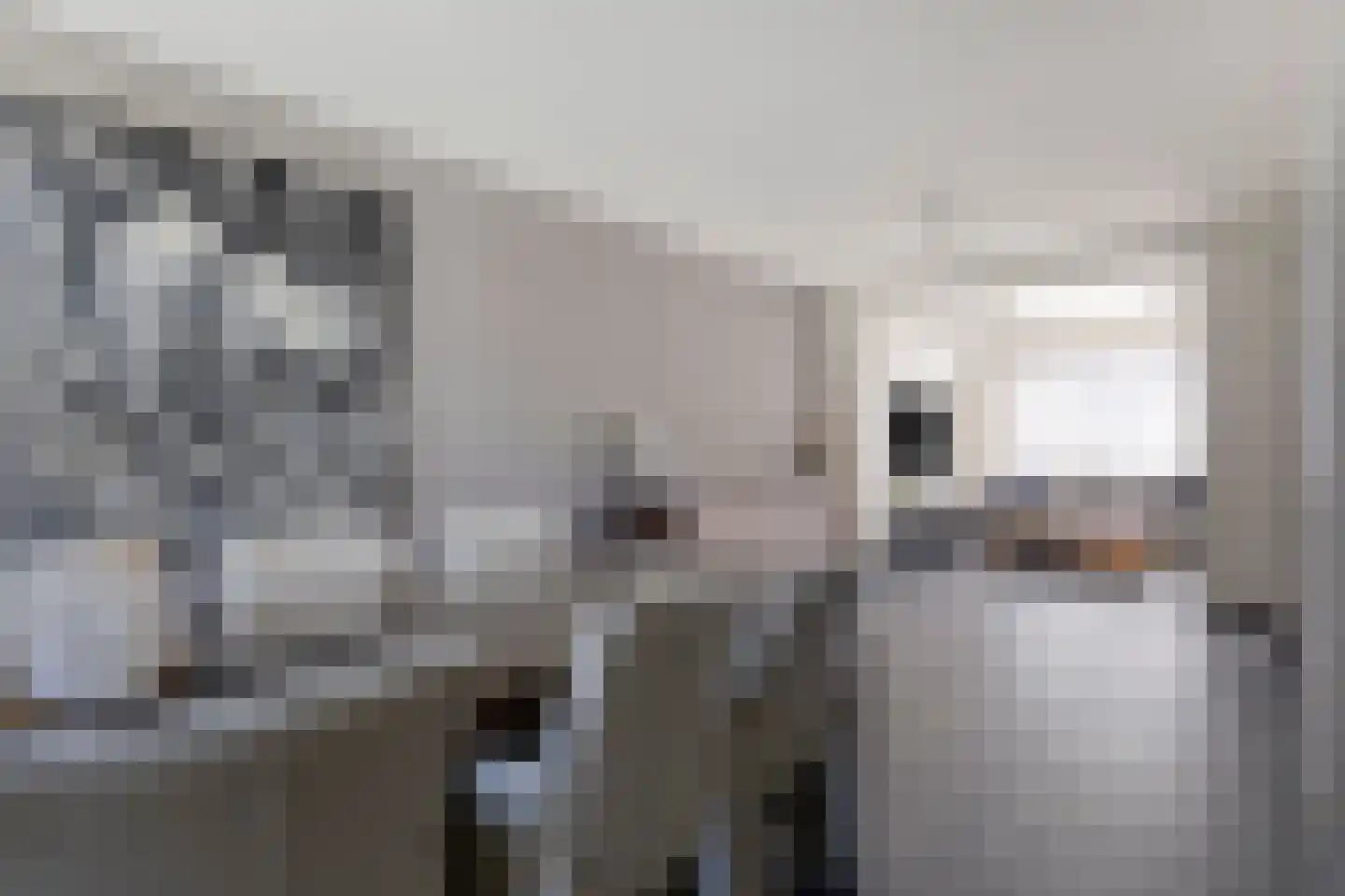 Trompetstraat 3 Uden thumbnail 4
