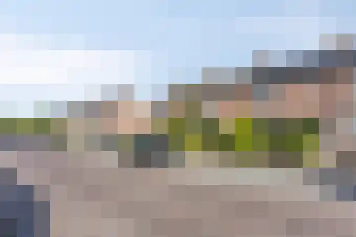 Trompetstraat 30 Uden thumbnail 30
