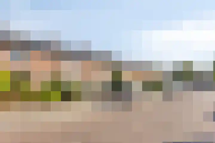 Trompetstraat 30 Uden thumbnail 31