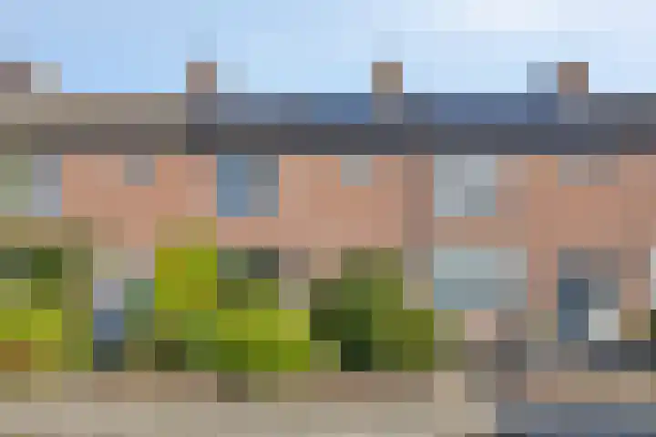 Trompetstraat 30 Uden thumbnail 32