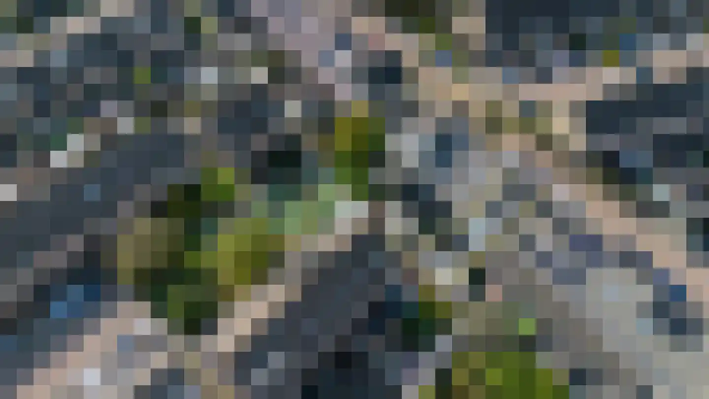 Trompetstraat 31 Zwijndrecht thumbnail 36