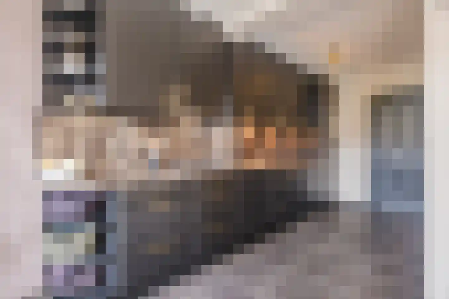 Trompetstraat 33 Uden thumbnail 15