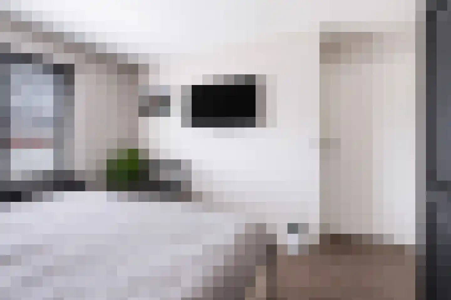 Trompetstraat 33 Uden thumbnail 18