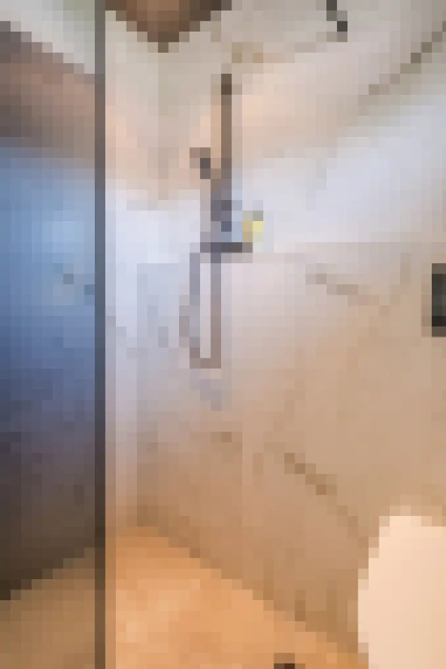 Trompetstraat 33 Uden thumbnail 24