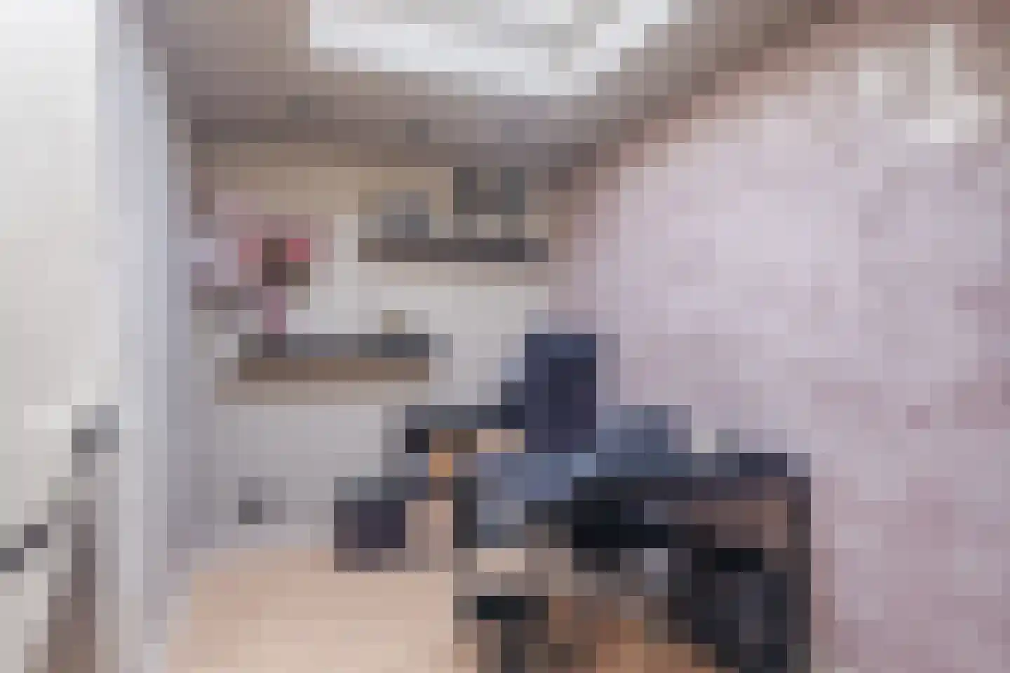 Trompetstraat 33 Uden thumbnail 31