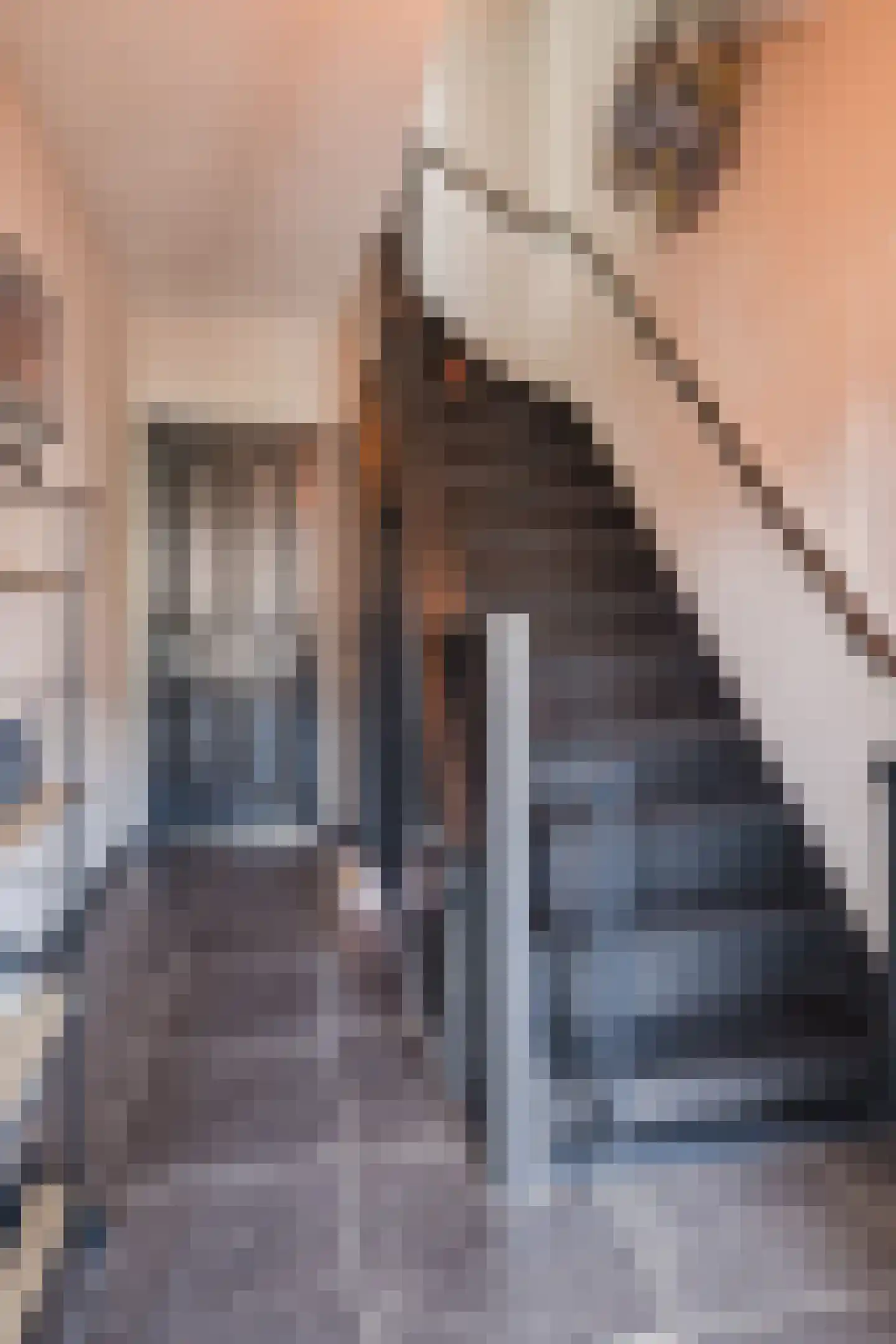 Trompetstraat 33 Uden thumbnail 5
