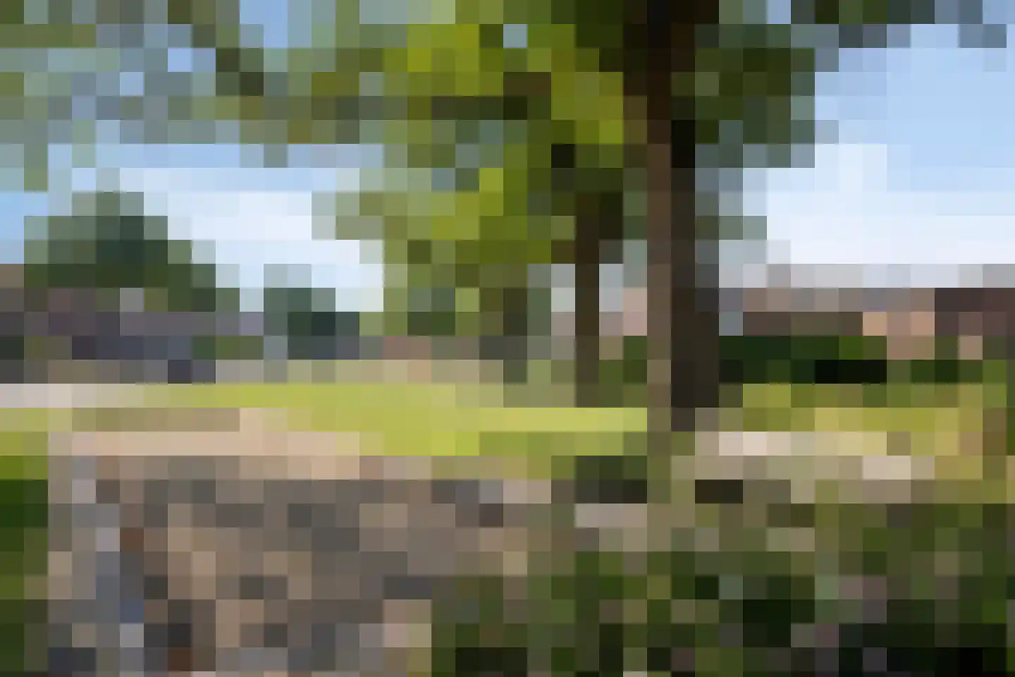Trompetstraat 36 Uden thumbnail 34