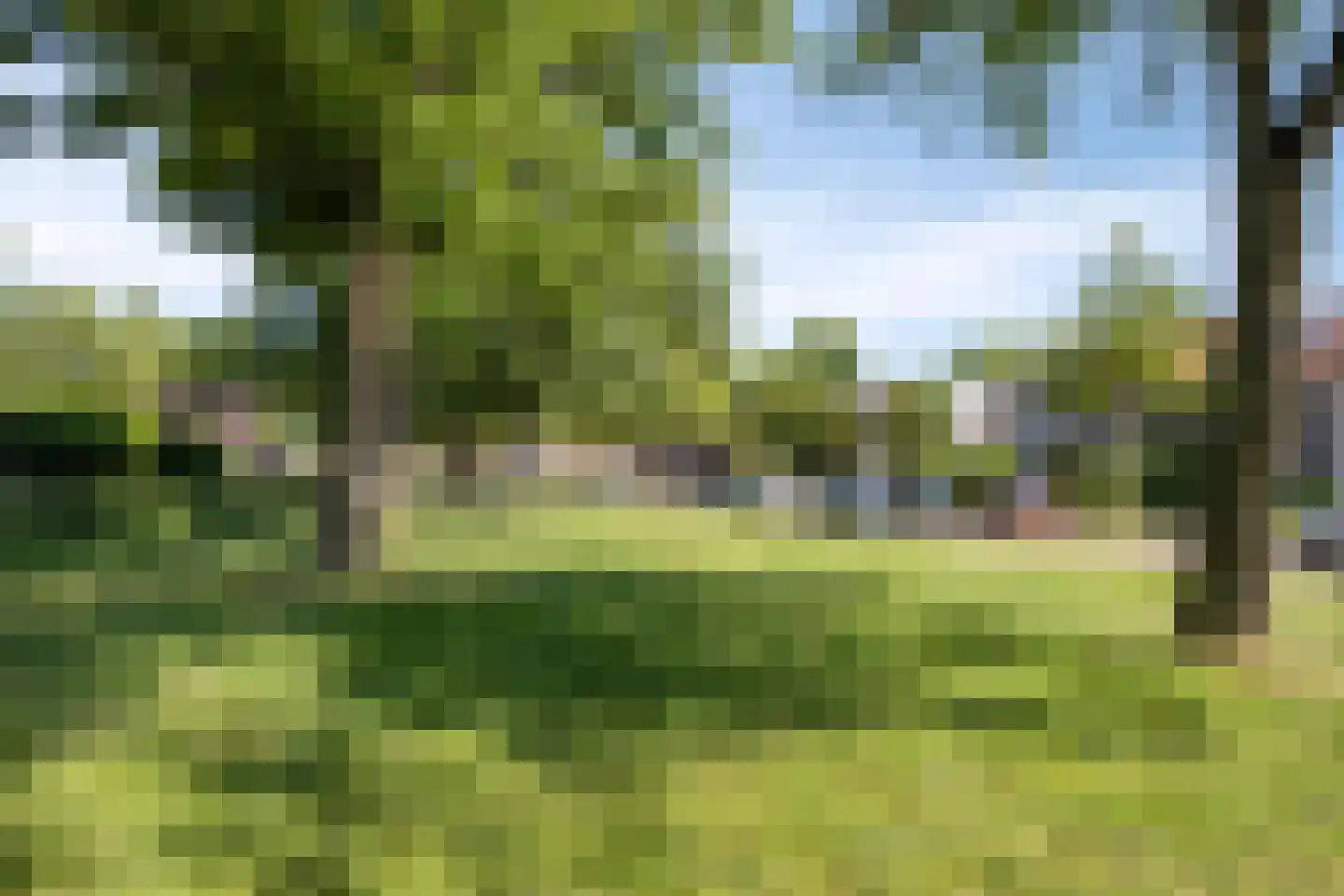 Trompetstraat 36 Uden thumbnail 37