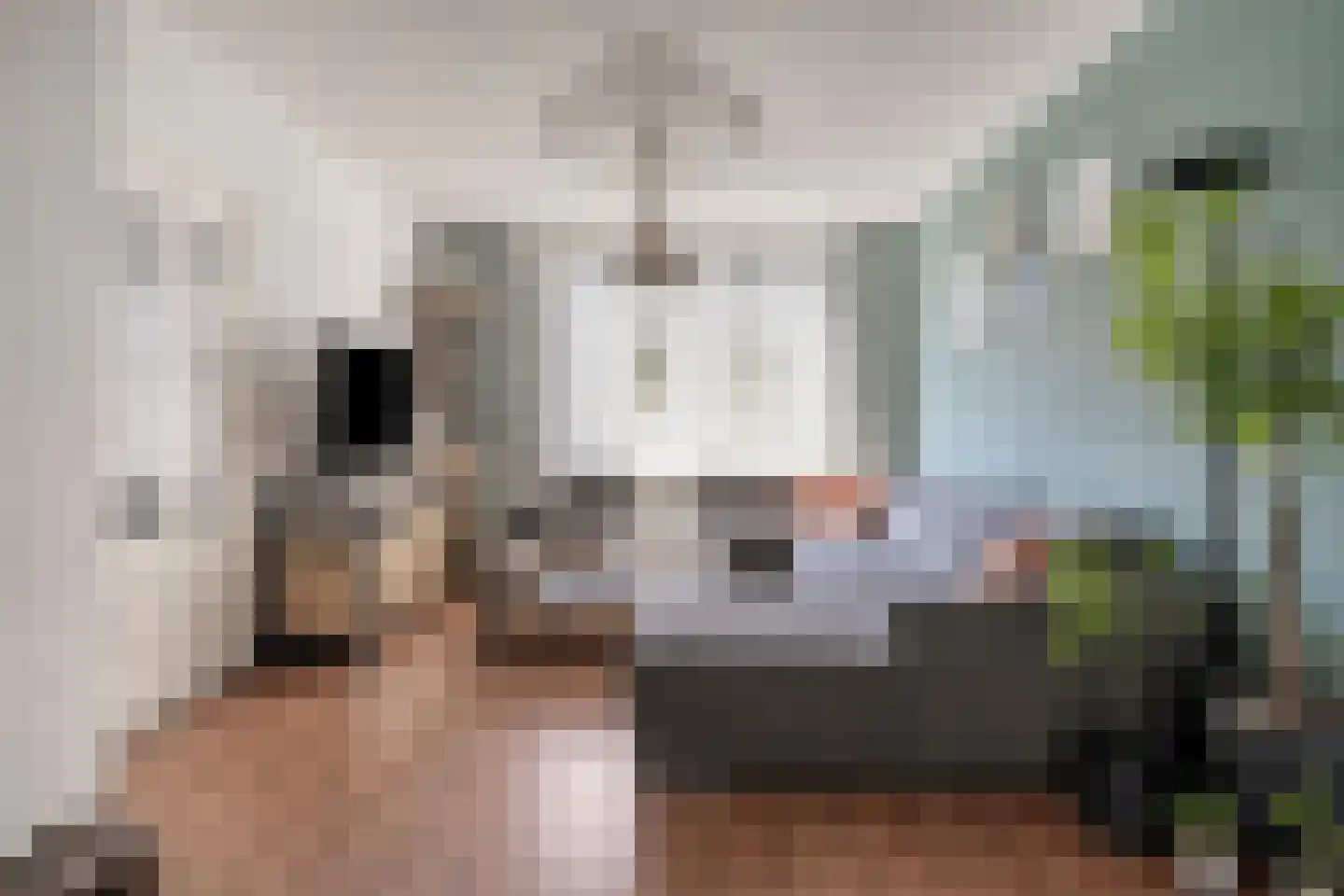Trompetstraat 36 Uden thumbnail 8