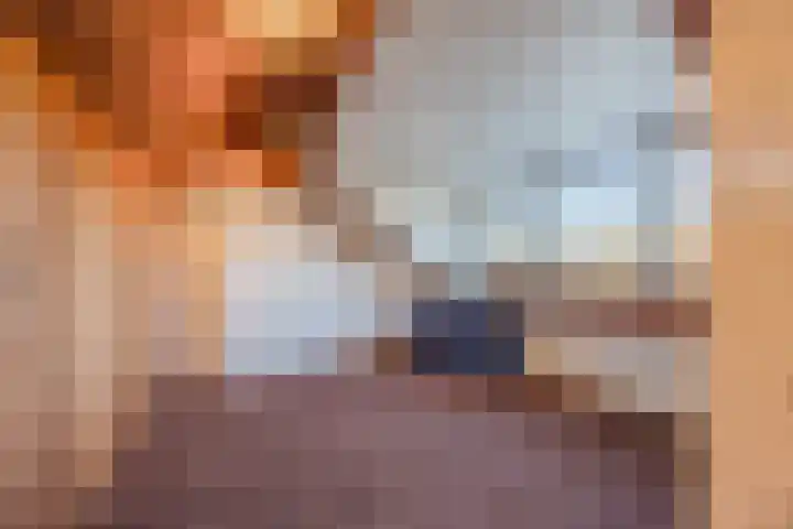 Trompetstraat 38 Uden thumbnail 30