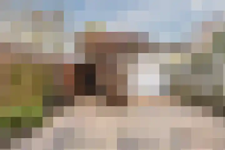 Trompetstraat 38 Uden thumbnail 37