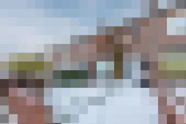 Trompetstraat 38 Uden thumbnail 4