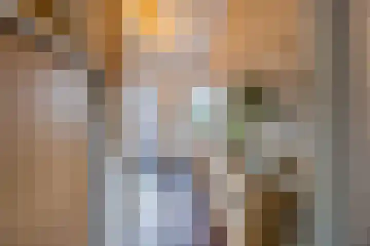 Trompetstraat 38 Uden thumbnail 5