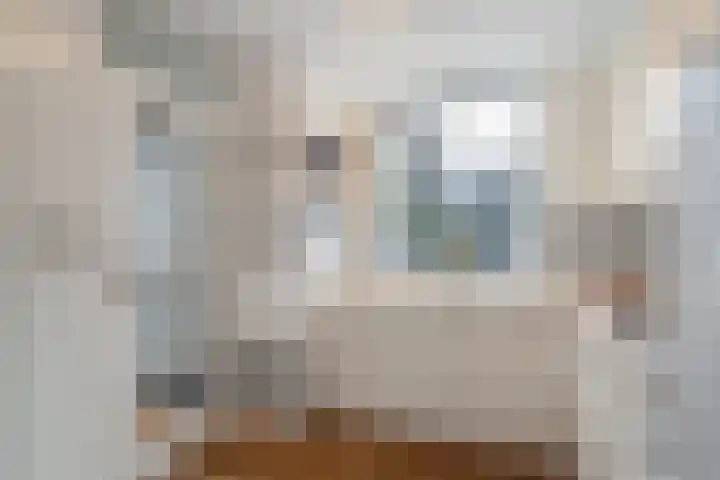 Trompetstraat 52 Delft thumbnail 7