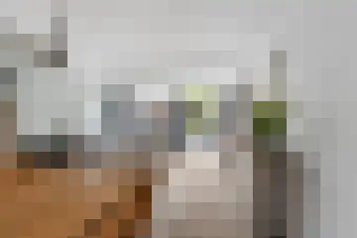 Trompetstraat 64 Zwijndrecht thumbnail 8