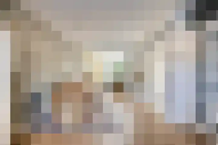 Trompetstraat 7 Uden thumbnail 10