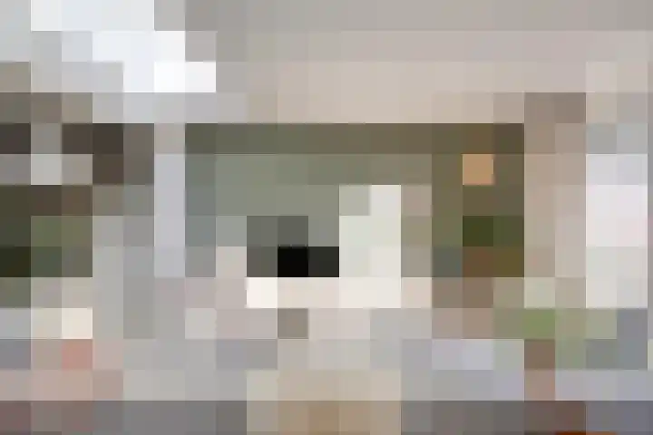 Trompetstraat 7 Uden thumbnail 6