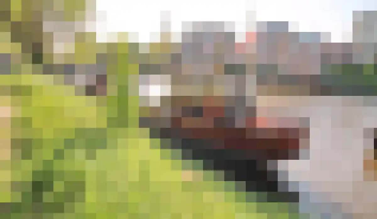 Trompkade 1000 Groningen thumbnail 24