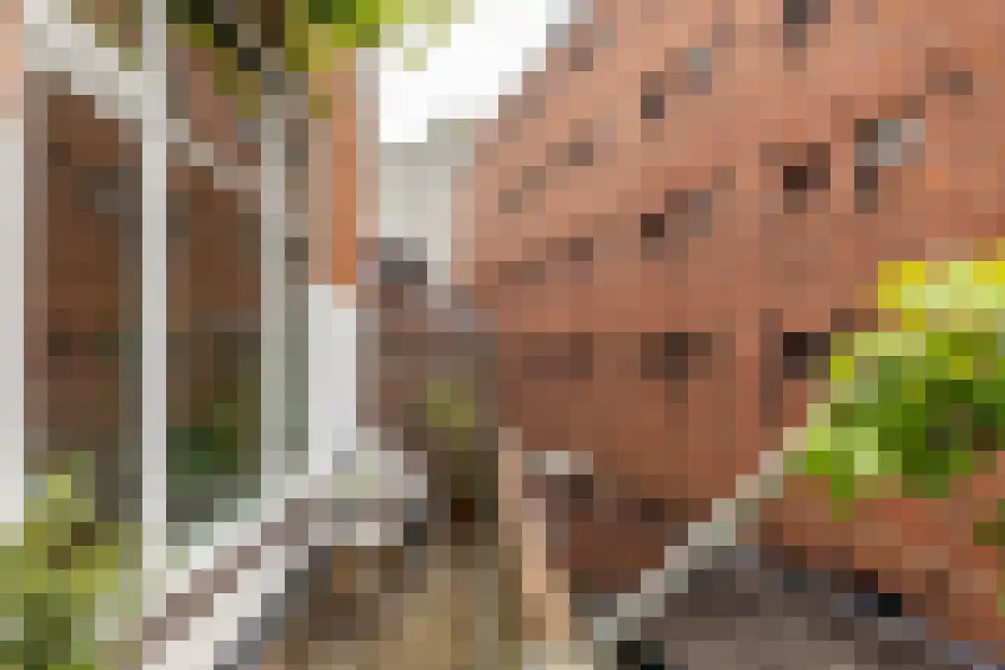 Trompkade 4 a Groningen thumbnail 26