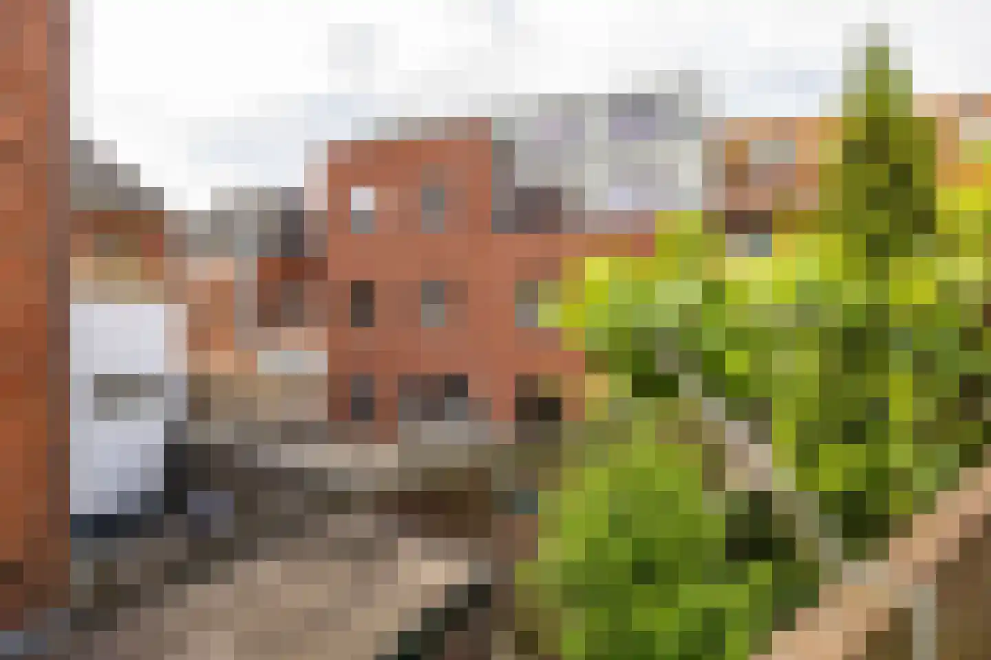Trompkade 4 a Groningen thumbnail 28