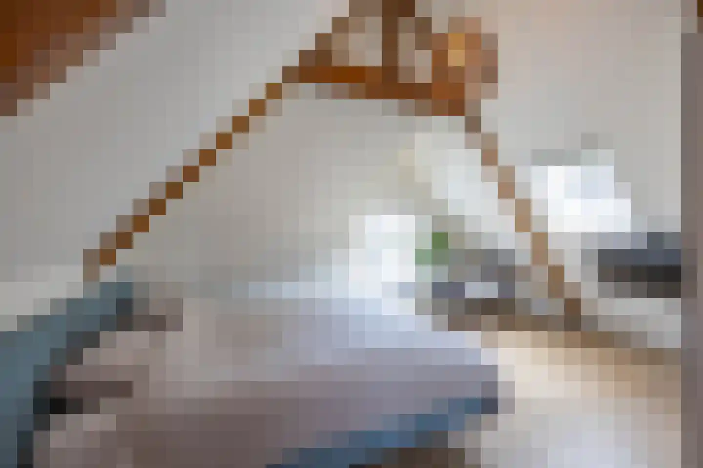 Trompkade 4 a Groningen thumbnail 31
