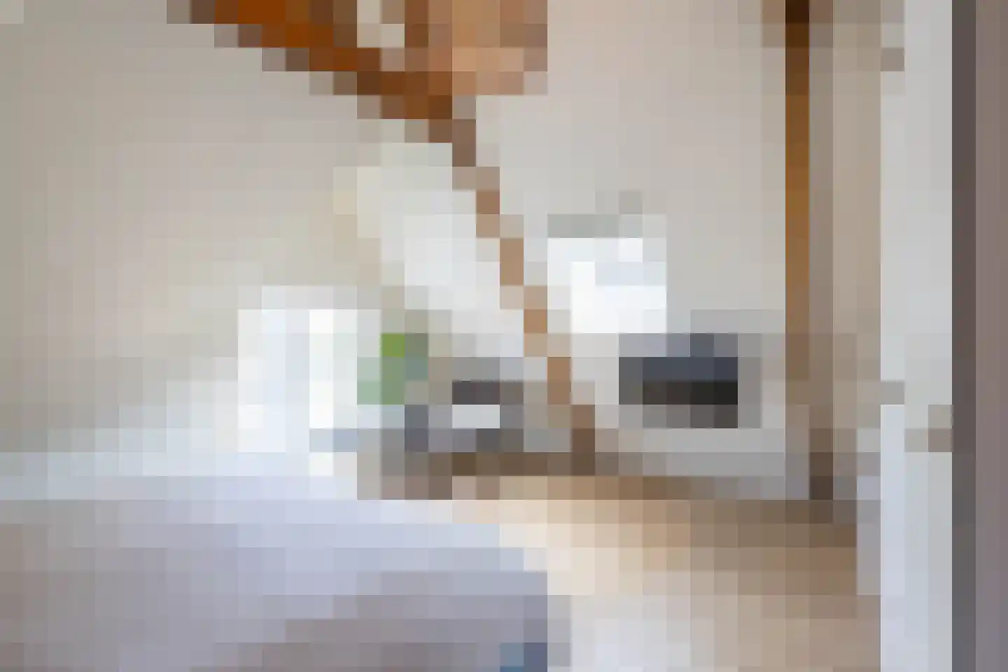 Trompkade 4 a Groningen thumbnail 32