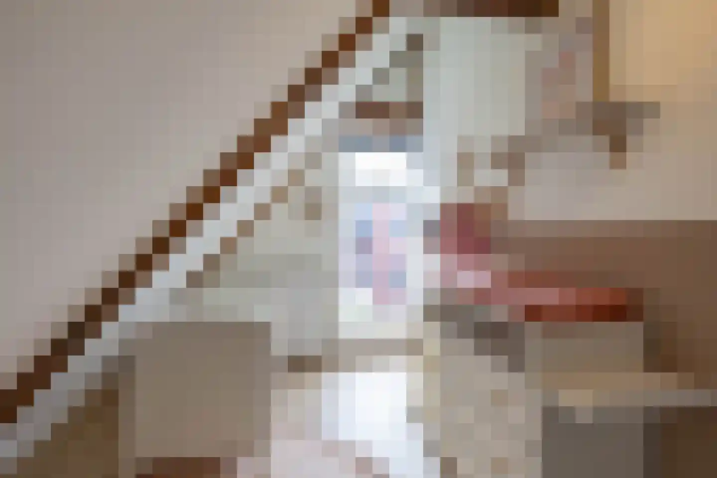 Trompkade 4 a Groningen thumbnail 39
