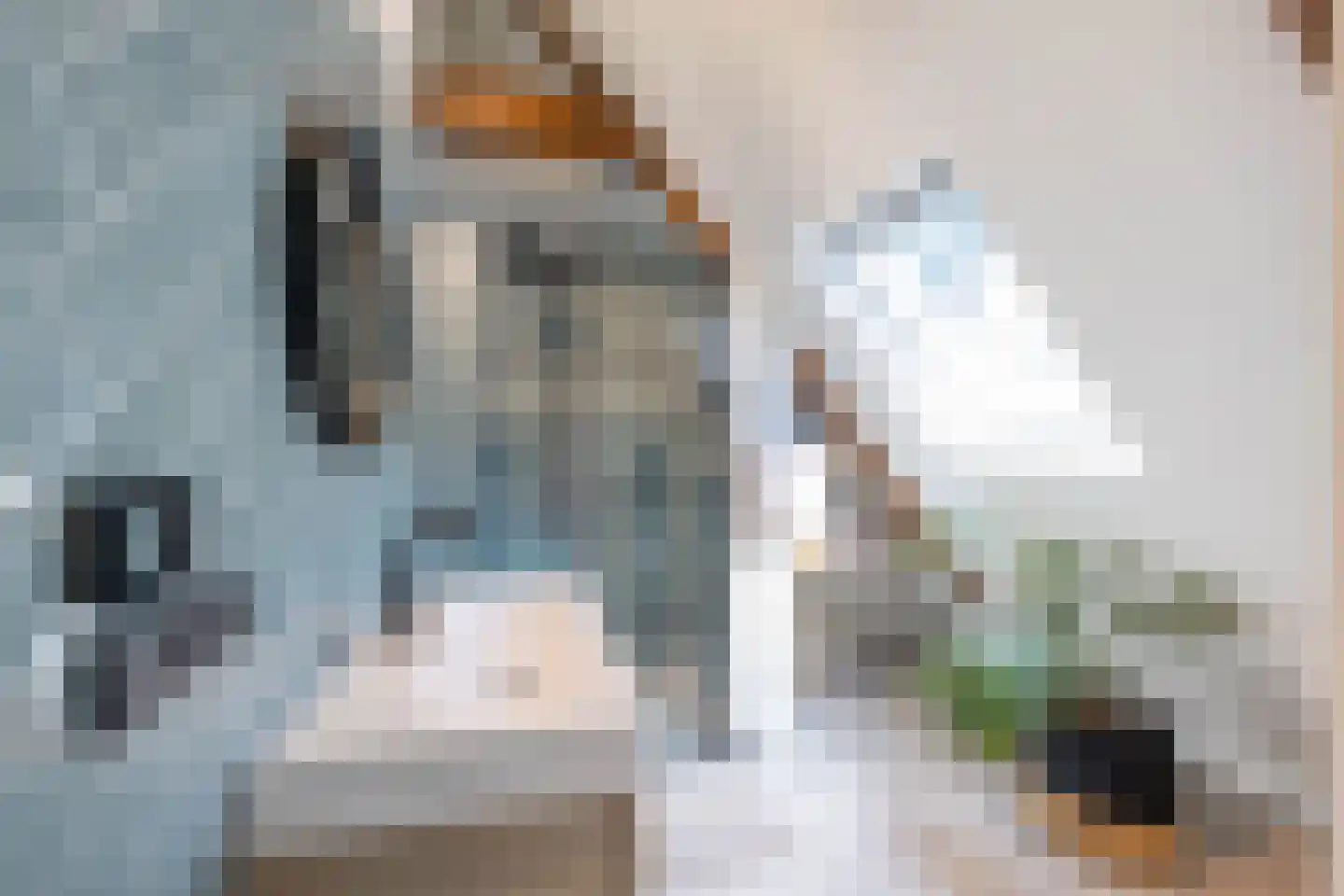 Trompkade 4 a Groningen thumbnail 41