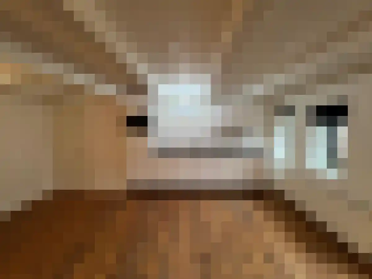 Trompkade 8 Groningen thumbnail 5