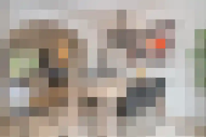Tromplaan 10 Maarn thumbnail 13