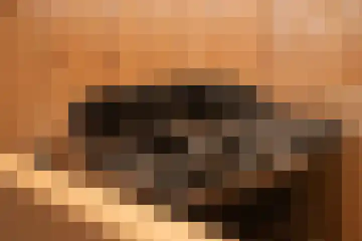 Tromplaan 10 Maarn thumbnail 23