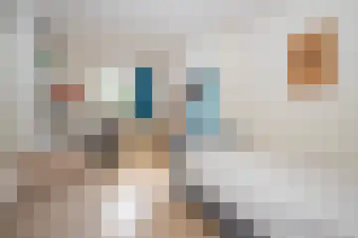 Tromplaan 10 Maarn thumbnail 24