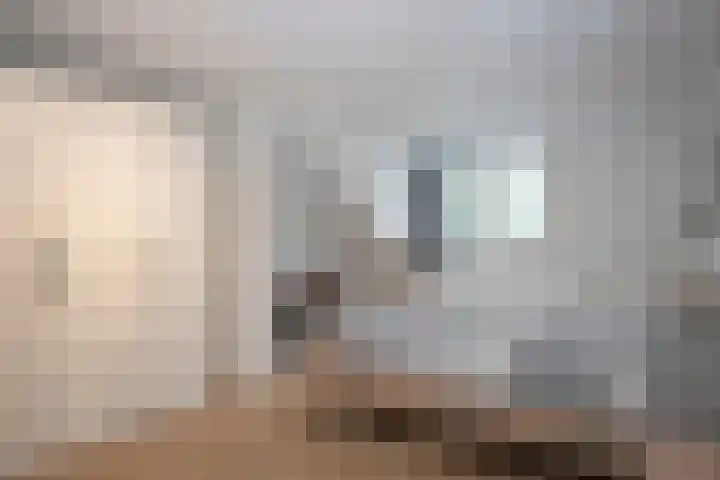 Tromplaan 10 Maarn thumbnail 29
