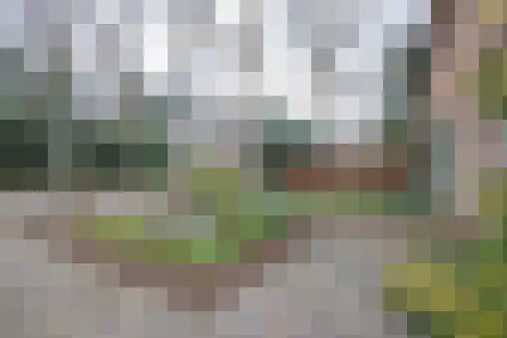 Tromplaan 10 Maarn thumbnail 6